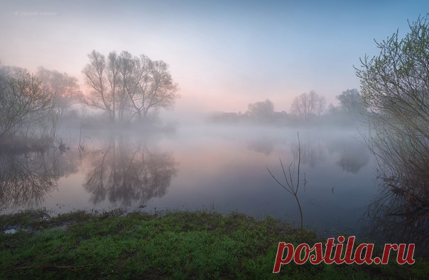Майское утро. Деревня Знаменка, Смоленская область. Автор фото – Александр Кукринов: nat-geo.ru/photo/user/208171/