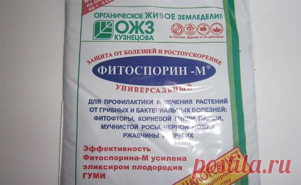 Фитоспорин-М: как и зачем? | садоёж | Яндекс Дзен