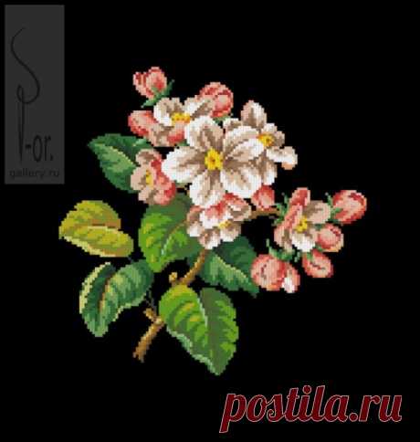 (6) Gallery.ru / Фото #1 - Веточка яблони. Завершён - Mariaya