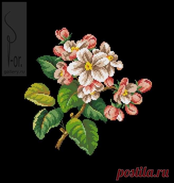 (6) Gallery.ru / Фото #1 - Веточка яблони. Завершён - Mariaya