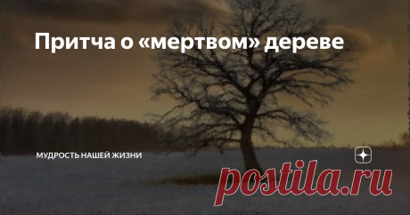 Притча о «мертвом» дереве       Шел февраль, последний зимний месяц. Зима, словно чувствовала, что ей осталось недолго наслаждаться своей властью. И этот день выдался невероятно холодным.       Дрова, которые были заготовлены, уже закончились. В доме было холодно. Нужно было что-то предпринять, как-то исправлять сложившуюся ситуацию. Тогда отец семейства тепло оделся, обул валенки, взял пилу и топор и вышел из дому.     Их небольшой домик находился почти на окраине деревни...