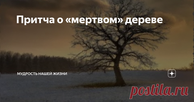 Притча о «мертвом» дереве       Шел февраль, последний зимний месяц. Зима, словно чувствовала, что ей осталось недолго наслаждаться своей властью. И этот день выдался невероятно холодным.       Дрова, которые были заготовлены, уже закончились. В доме было холодно. Нужно было что-то предпринять, как-то исправлять сложившуюся ситуацию. Тогда отец семейства тепло оделся, обул валенки, взял пилу и топор и вышел из дому.     Их небольшой домик находился почти на окраине деревни...