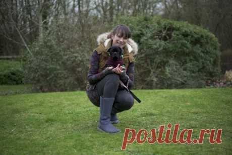 Из фургона выпал растерянный мопс… Его выбросили хозяева – “за непригодность”