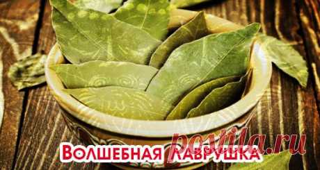 Волшебная лаврушка!