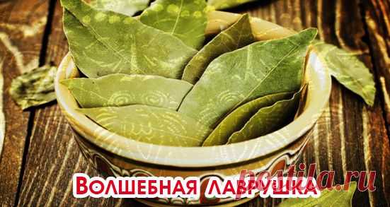 Волшебная лаврушка!
