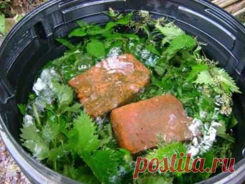 Как приготовить удобрение из сорняков