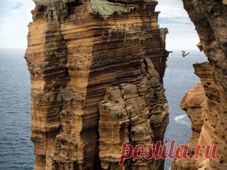 National Geographic: лучшие снимки / Всё самое лучшее из интернета