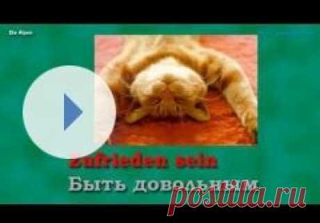 Урок 1. Местоимения в немецком языке