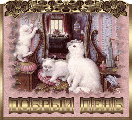 Гифка — «Добрый день»