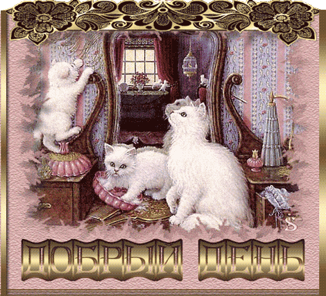 Гифка — «Добрый день»