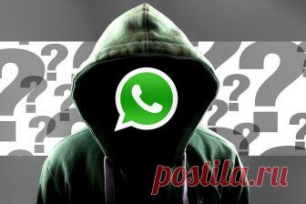 WhatsApp: Как включить режим невидимки и спрятать геолокацию | CHIP Россия Следуйте нашим инструкциям, и никто не узнает, где вы находитесь и когда заходили в приложение WhatsApp последний раз.