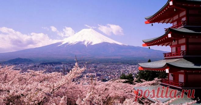 Немного цитат для «подумать»