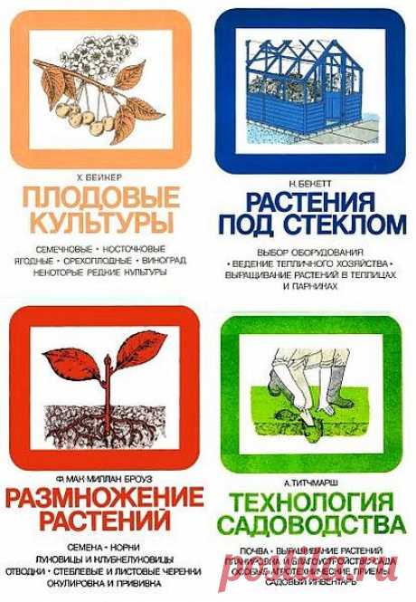 Энциклопедия практического садоводства в 7 книгах (DjVu) Книжная серия посвящена практическому садоводству, рассказывает об организации садово-огородного участка и эффективных методах его эксплуатации. Текст сопровождают наглядные иллюстрации. Издание рассчитано на широкий круг садоводов-любителей.Список книг:Благоустройство садового участкаОбрезка