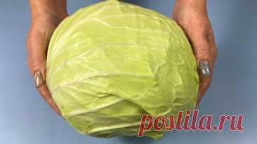 Бабушка из Белоруссии НАУЧИЛА готовить "КАПУСТНЯК"! Вкуснее ГОЛУБЦОВ и ПРОЩЕ НАМНОГО!