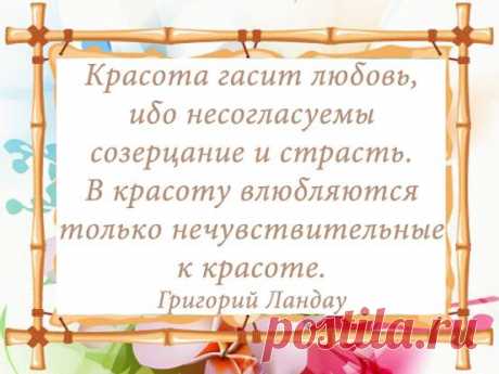 Tvoiaromat – Google+