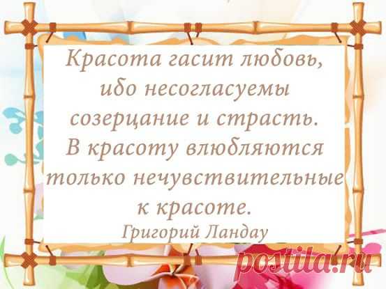 Tvoiaromat – Google+