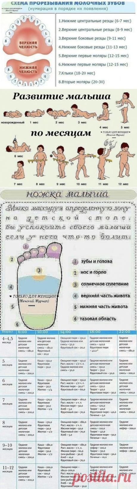 Одноклассники