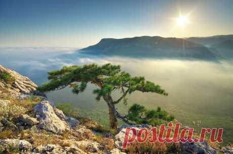 Утро в Крыму