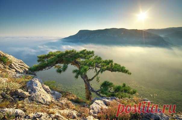 Утро в Крыму