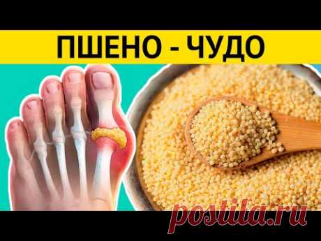 ЗЕРНА ВОЗРОЖДЕНИЯ! Всего одна ложка ПШЕНА и нет болезней! Специалисты в шоке!