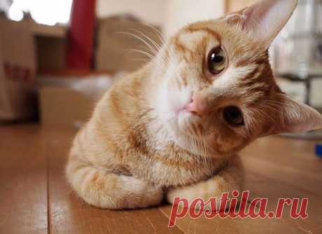 Мой Мир@Mail.Ru