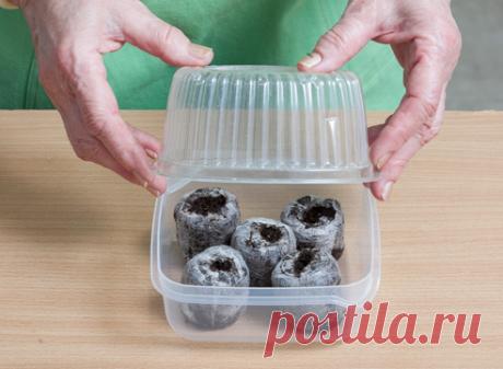 И снова про торфяные таблетки