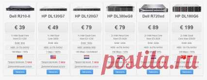 Породы собак. Американский кокер-спаниель - Собаки и кошки