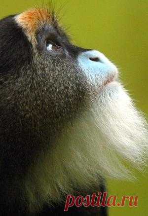 Travels by iris-flower on Indulgy.com