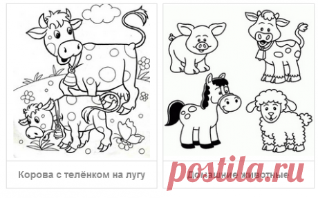 Раскраски Домашние животные - скачать или распечатать