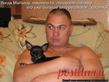 Приколюшки
