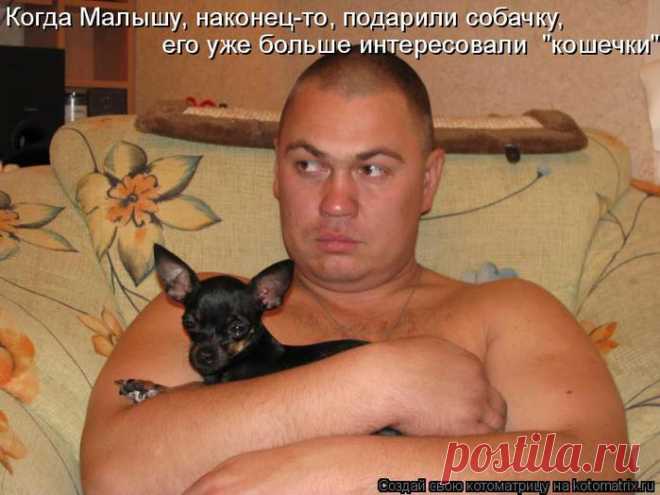 Приколюшки