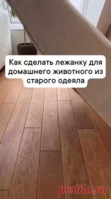 ЯжеХозяйка 📎Делаем лежанку для домашнего животного из старого одеяла 

#уют