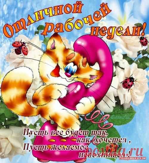 Интересные новости