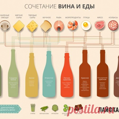 Спиртные напитки. Сочетание вина и еды