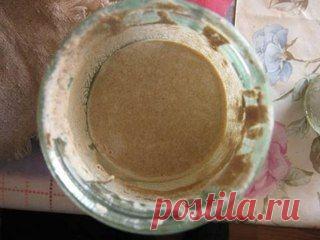 Елена Васильева