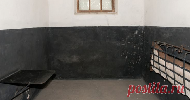 Одиночество меняет мозг Во время долгой социальной изоляции в тканях мозга происходят биохимические изменения, из-за которых меняется поведение.