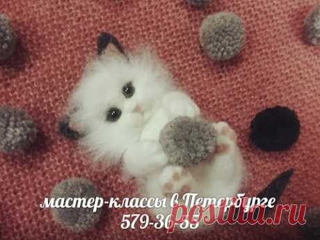 ПРОСТОЕ  ВАЛЯНИЕ  КОТИКА -- ШКОЛА  ФЕЛТИНГА Татьяны Шелиповой