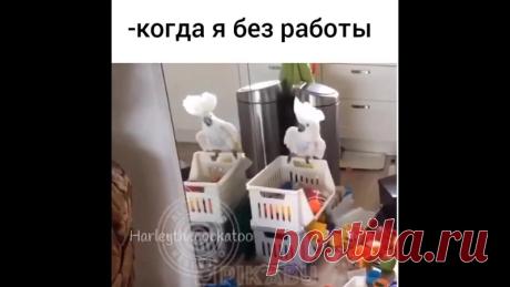 Андрей Андреевич