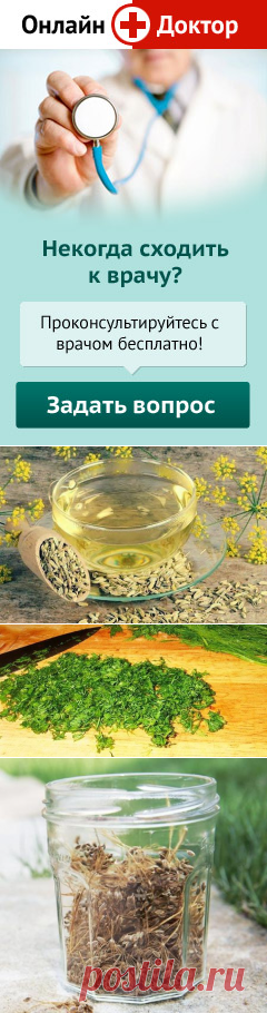 Укроп - полезные свойства | Народная медицина