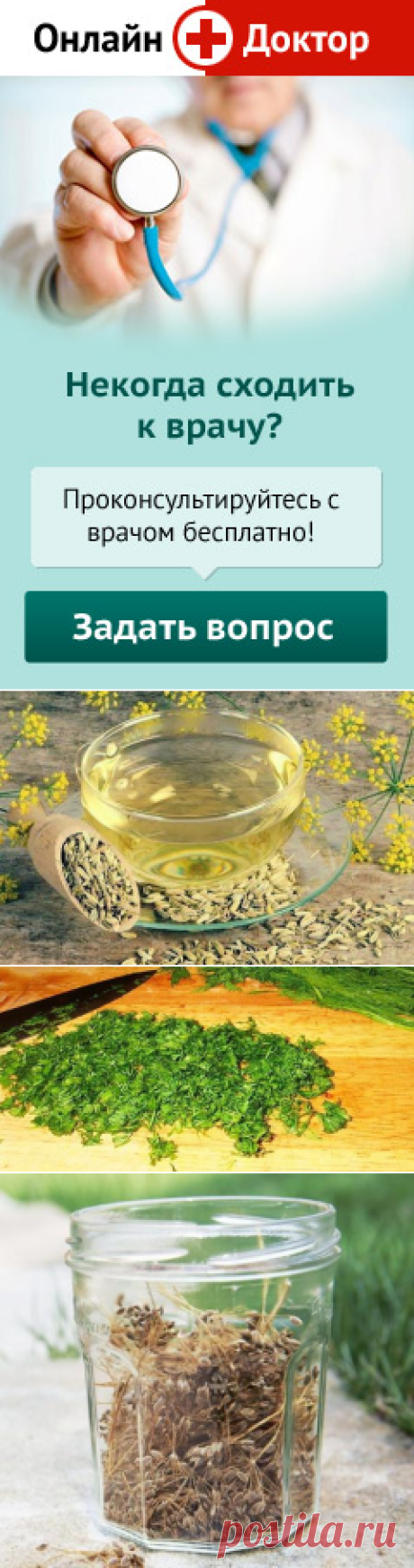 Укроп - полезные свойства | Народная медицина