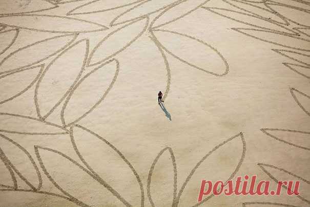 Художник, серфер и повар-самоучка Джим Деневан, родившийся в 1961 году, часами рисует на песке самые красивые и самые недолговечные картины на пляжах. Свои геометрические рисунки художник создает во время отлива при помощи обычной деревянной палки. https://vk.com/photo-17655824_274642263