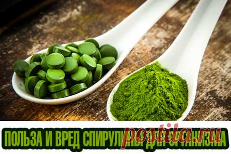 Польза и вред спирулины для организма | Полезные советы