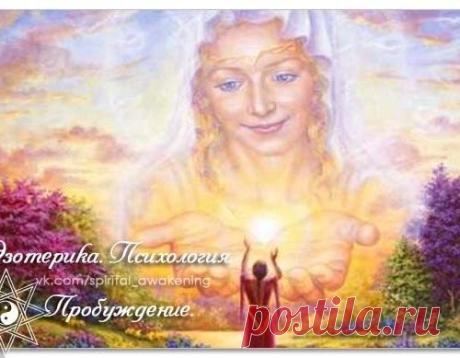 НИКОГДА НЕ ЖАЛУЙСЯ