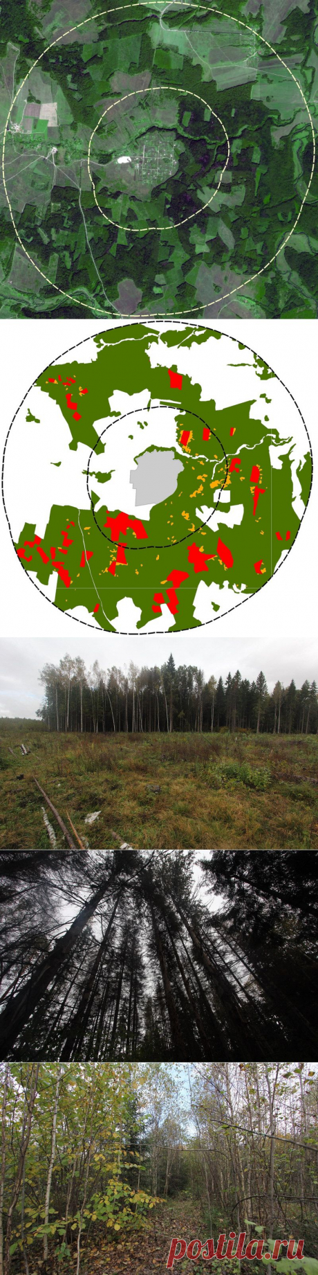 О лесопользовании: ситуация в окрестностях экопоселения Ковчег Калужской области - ПРИРОДА ВЕЛИКИЙ ГЕНИЙ!