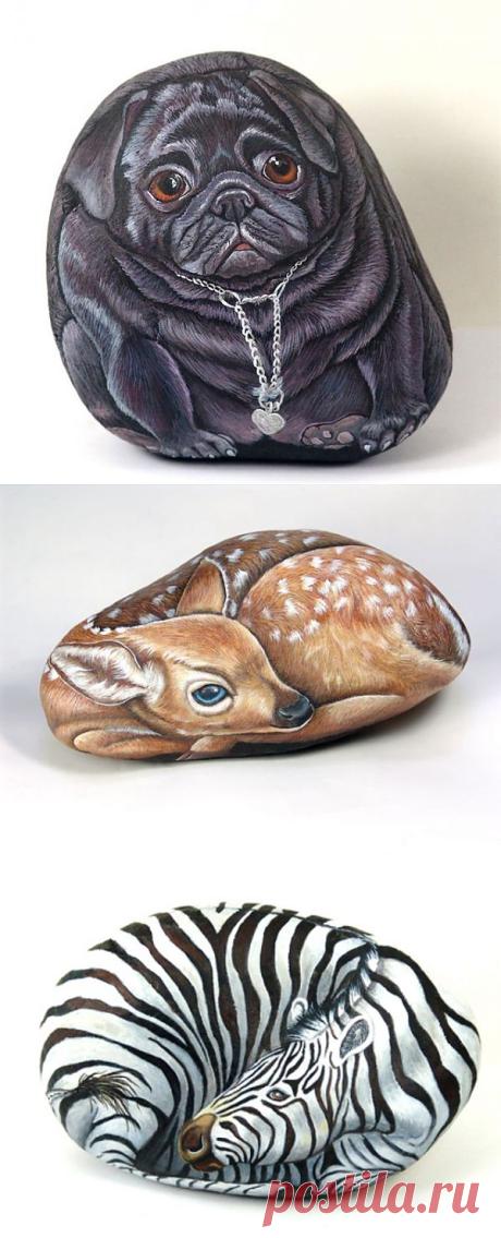 Рисунки на камнях.