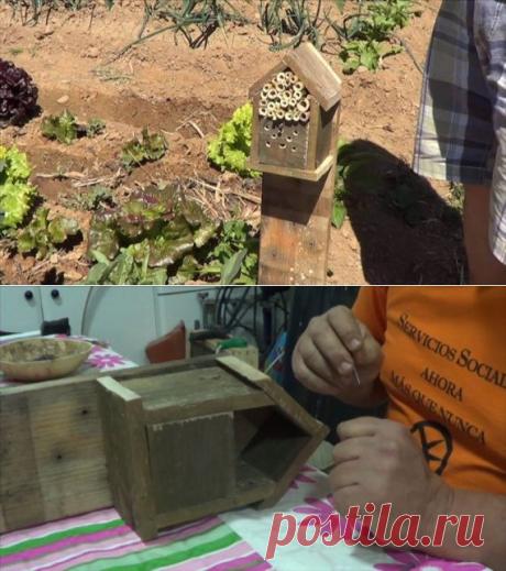 Как сделать  для божьих коровок