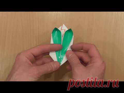 Куб кролик