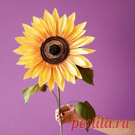 May all of your days be sunny 🌻✨Create your very own crepe paper and felt sunflower at liagriffith.com/jumbo-crepe-paper-sunflower/
*
*
*
@officialcricut #cricutmade #cricutmaker #diyinspiration #diyidea #diyideas #diyproject #diyprojects #paperart #papercut #paperflower #paperflowers #crepepaperrevival #crepepaperflowers #felt #feltcraft #madewithlia