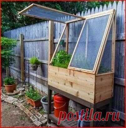 Интересный мини-парник