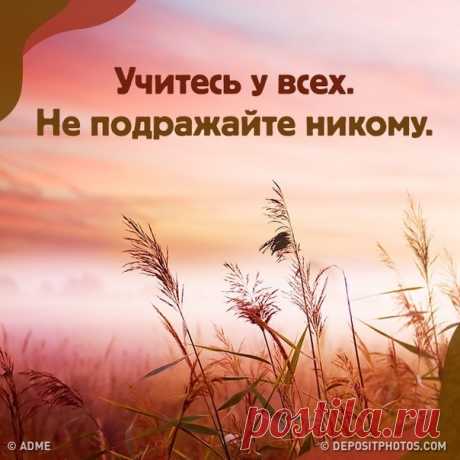 Мы вспомнили самые мудрые советы, которые слышали за всю жизнь, и решили поделиться с вами: bit.ly/3rFRJml
